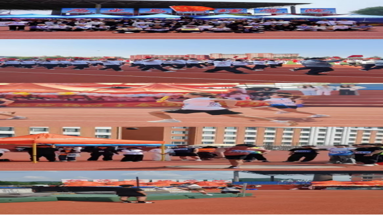 f06a865d4b491a12e093236392d3b3ab.png
